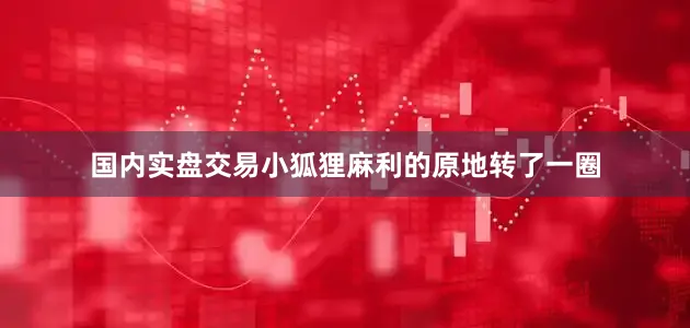 国内实盘交易小狐狸麻利的原地转了一圈