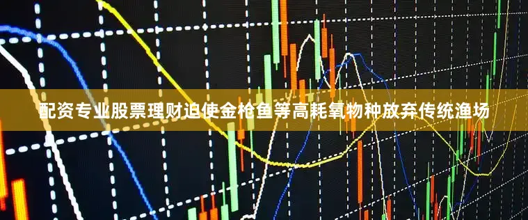 配资专业股票理财迫使金枪鱼等高耗氧物种放弃传统渔场