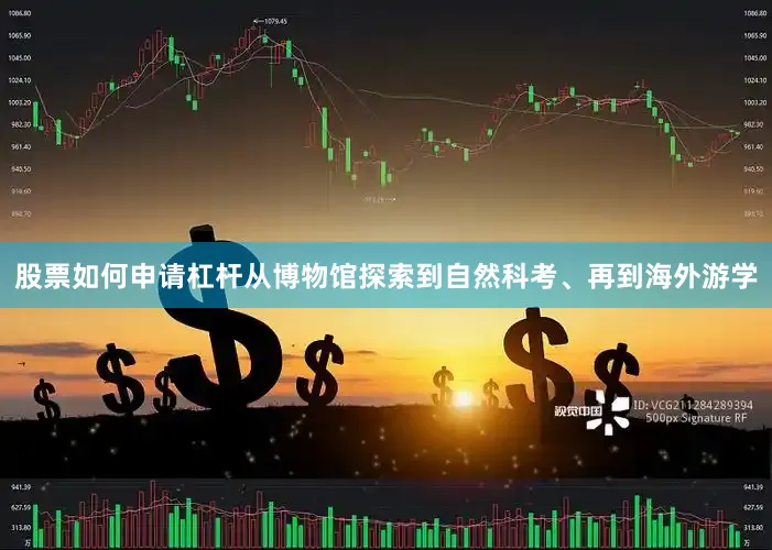 股票如何申请杠杆从博物馆探索到自然科考、再到海外游学