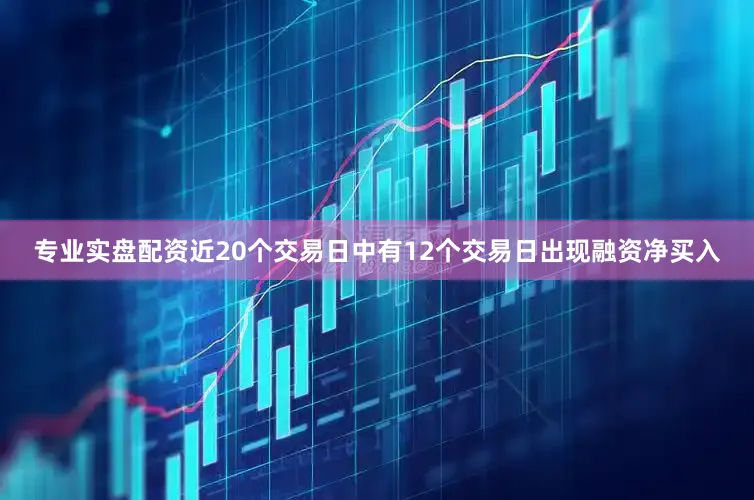 专业实盘配资近20个交易日中有12个交易日出现融资净买入